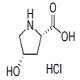 順式-4-羥基-L-脯氨酸鹽酸鹽-CAS:441067-49-8